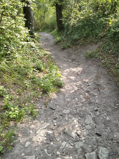 Dequiedt Christophe, Reprographe à Clermont-Ferrand