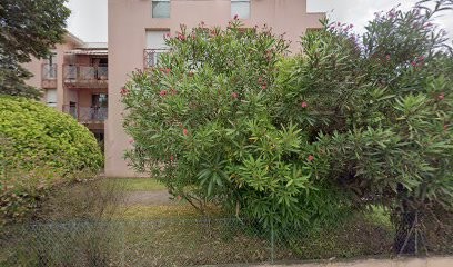 Neuroland, Reprographe à Dax