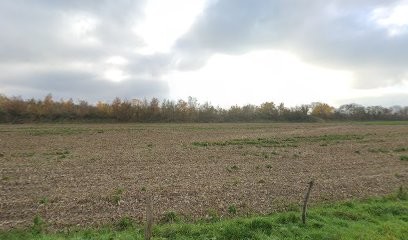 Imprimerie Delatre & Fils, Imprimeur à Sotteville-sous-le-Val