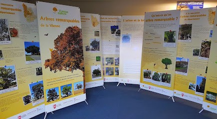 RBS 86, Imprimeur à Poitiers