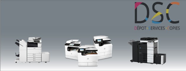 Depot Services Copies, Reprographe à Frontonas