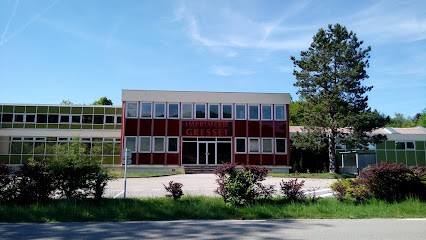 GRESSET RAULT SOLUTIONS NEY, Imprimeur à Ney