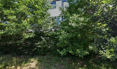 Xerox The Document Company, Reprographe à Carquefou