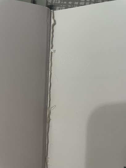 Imprimerie Sarregueminoise Sàrl, Imprimeur à Sarreguemines