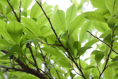 L’atelier Repro, Reprographe à Bois-Colombes