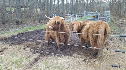 Imprimerie Bovi, Imprimeur à Wingen-sur-Moder
