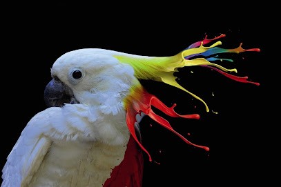 Imprimerie SEP, Imprimeur à Nîmes