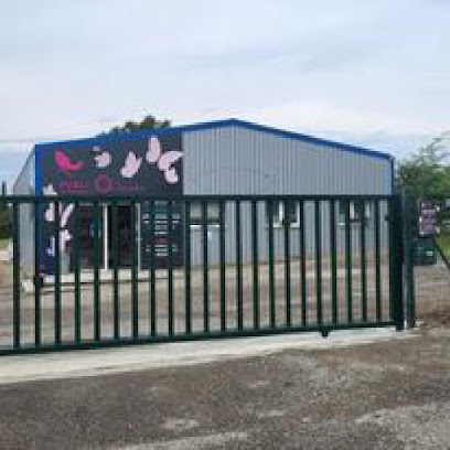Publi Services Sarl, Imprimeur à Beaumont-de-Lomagne