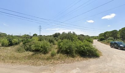 4D Services, Imprimeur à Valergues