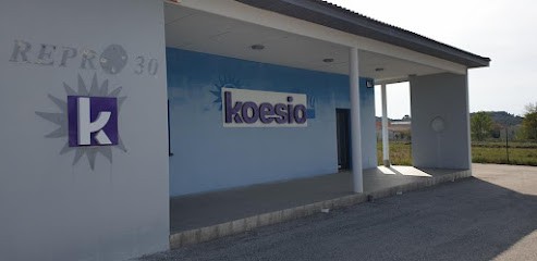 Koesio Occitanie - Agence Alès, Reprographe à Alès