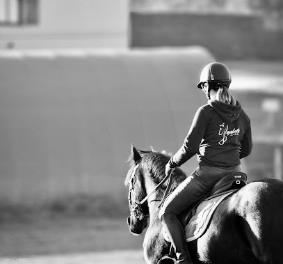 Blagapro - L'imprimerie des clubs, Imprimeur à Saint-Cyr-en-Val