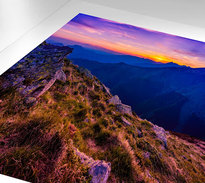 Photobird, Imprimeur au Mérévillois
