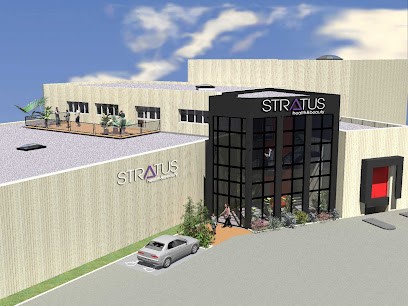 Stratus Health & Beauty, Imprimeur à Saint-Priest-en-Jarez