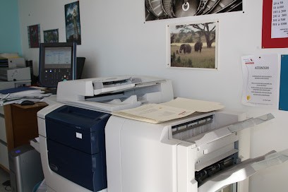 Tournefeuille Copie Service, Reprographe à Tournefeuille